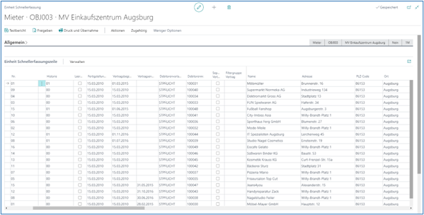 Einheitenschnellerfassungszeile